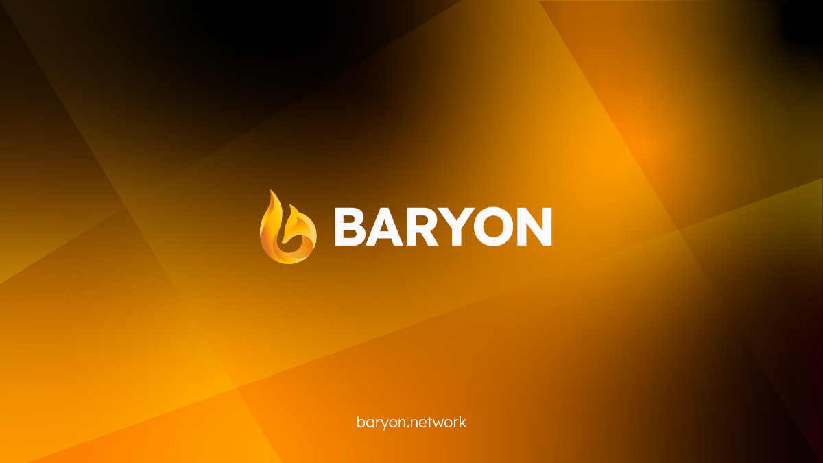 baryon network