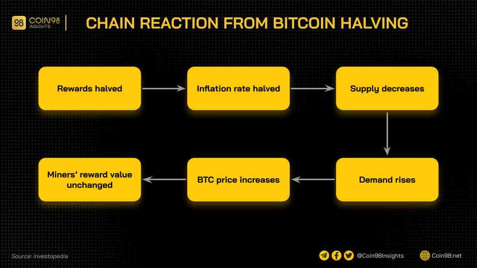bitcoin halving chain reaction