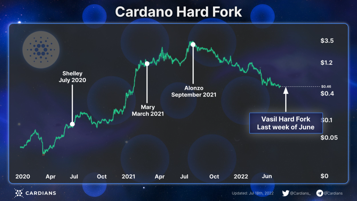 hệ sinh thái Cardano hardfork tuần 29