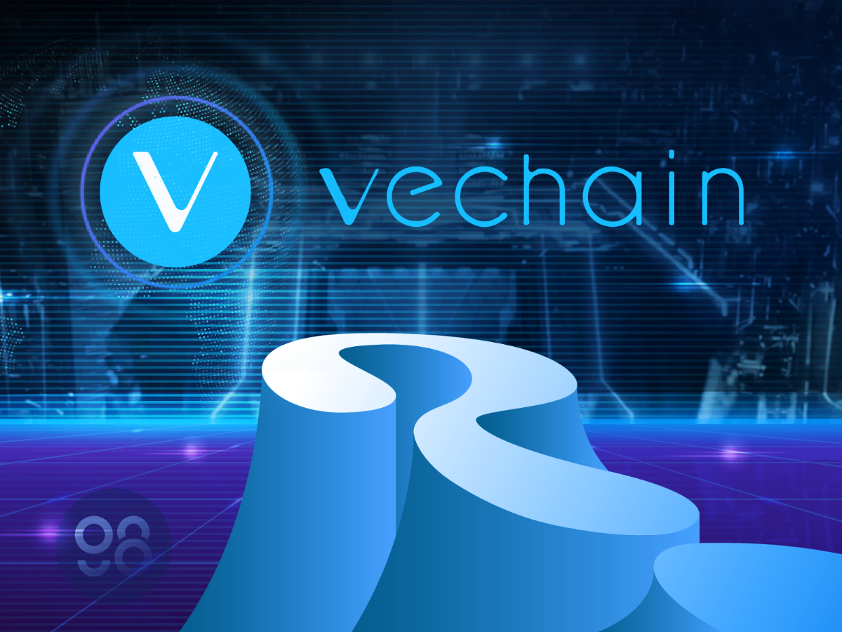 what is vechain